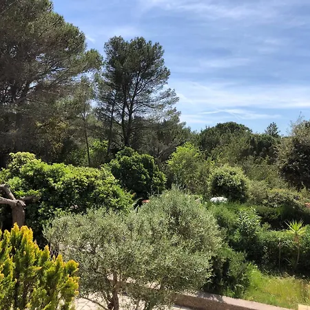 Capitou * Frejus
